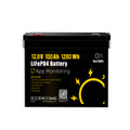 12V 100Ah LiFePO4 Deep Cycle Battery with Bluetooth App Monitoring