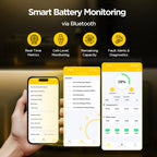 GoKWh 12V 320Ah Built in 200A Bluetooth BMS LiFePO4 Battery