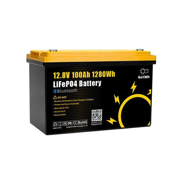 GoKWh 12V 100Ah Built in 100A Bluetooth BMS LiFePO4 Battery