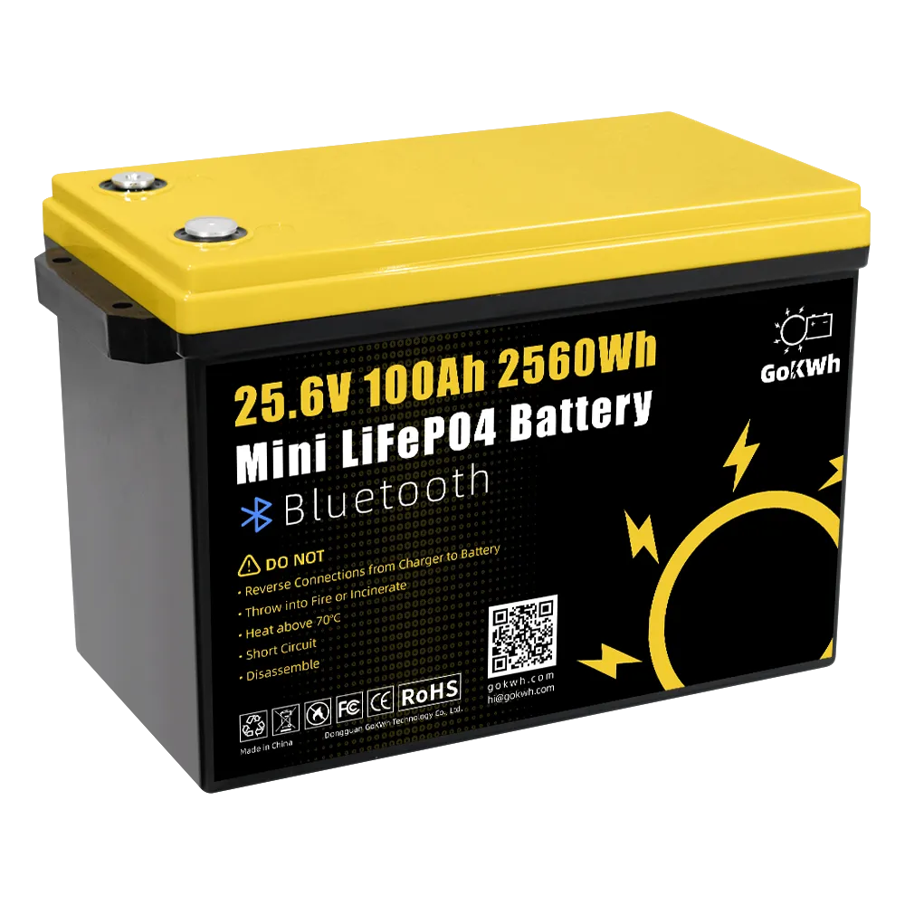 GoKWh 24V 100Ah Mini Bluetooth LiFePO4 Battery