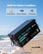NeuVolt 12V 300Ah Lithium LiFePO4 battery