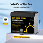 12V 100Ah LiFePO4 Deep Cycle Battery with Bluetooth App Monitoring