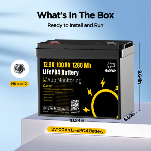 12V 100Ah LiFePO4 Deep Cycle Battery with Bluetooth App Monitoring