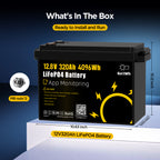 12V 320Ah Built in 200A Bluetooth BMS LiFePO4 Battery